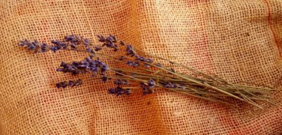 Lavender on natural fabric