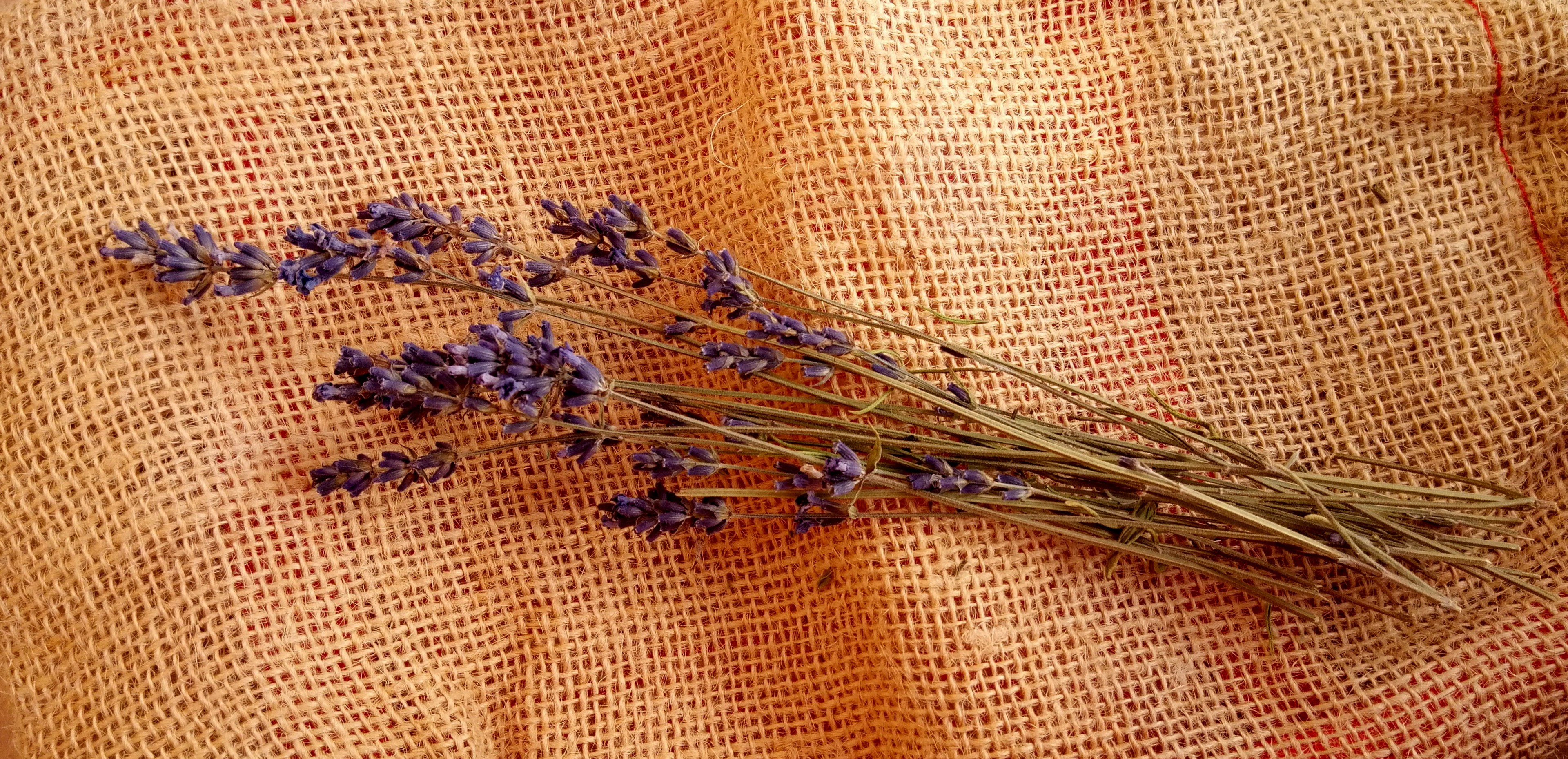 Lavender on natural fabric