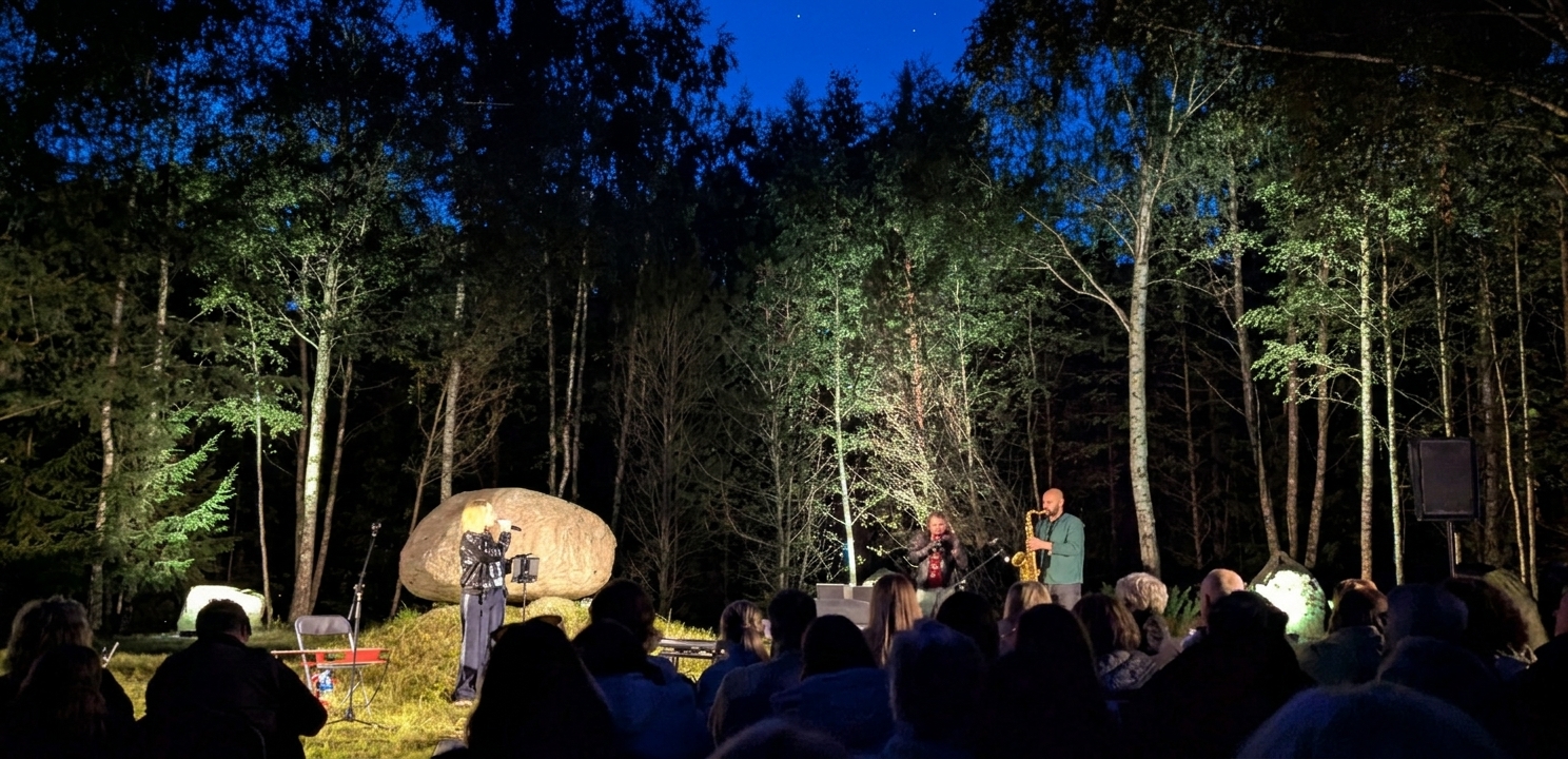 View from audience of concert in forest