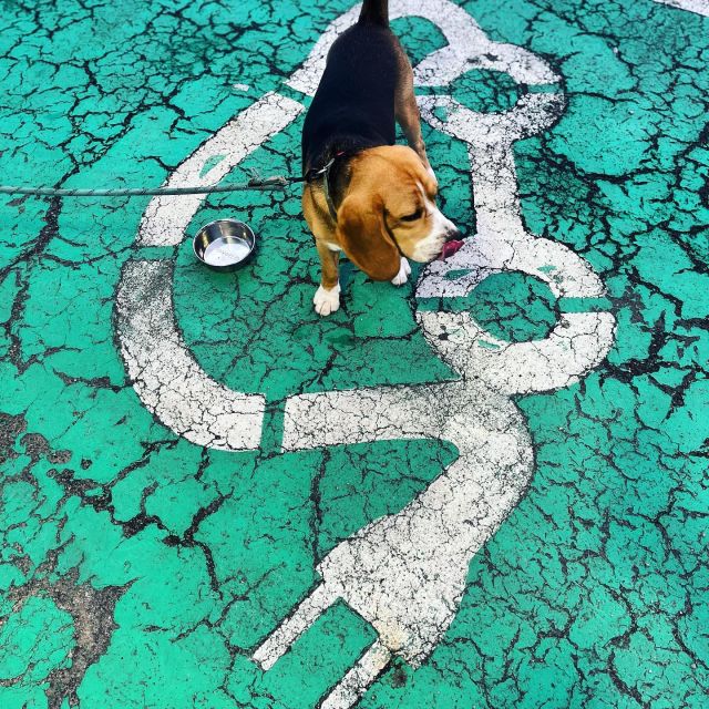 Recharge 🔌🔌🔌 🚙 #ontheroad #kalvarija  #pabloisgoingabroad #travelling #slowtravel  #greentravelling